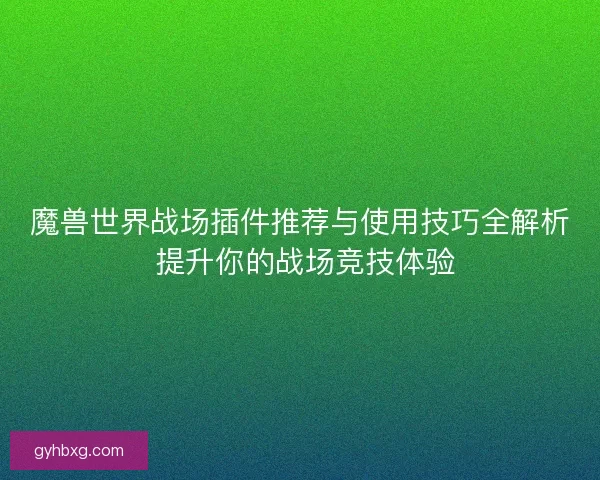 魔兽世界战场插件推荐与使用技巧全解析 提升你的战场竞技体验